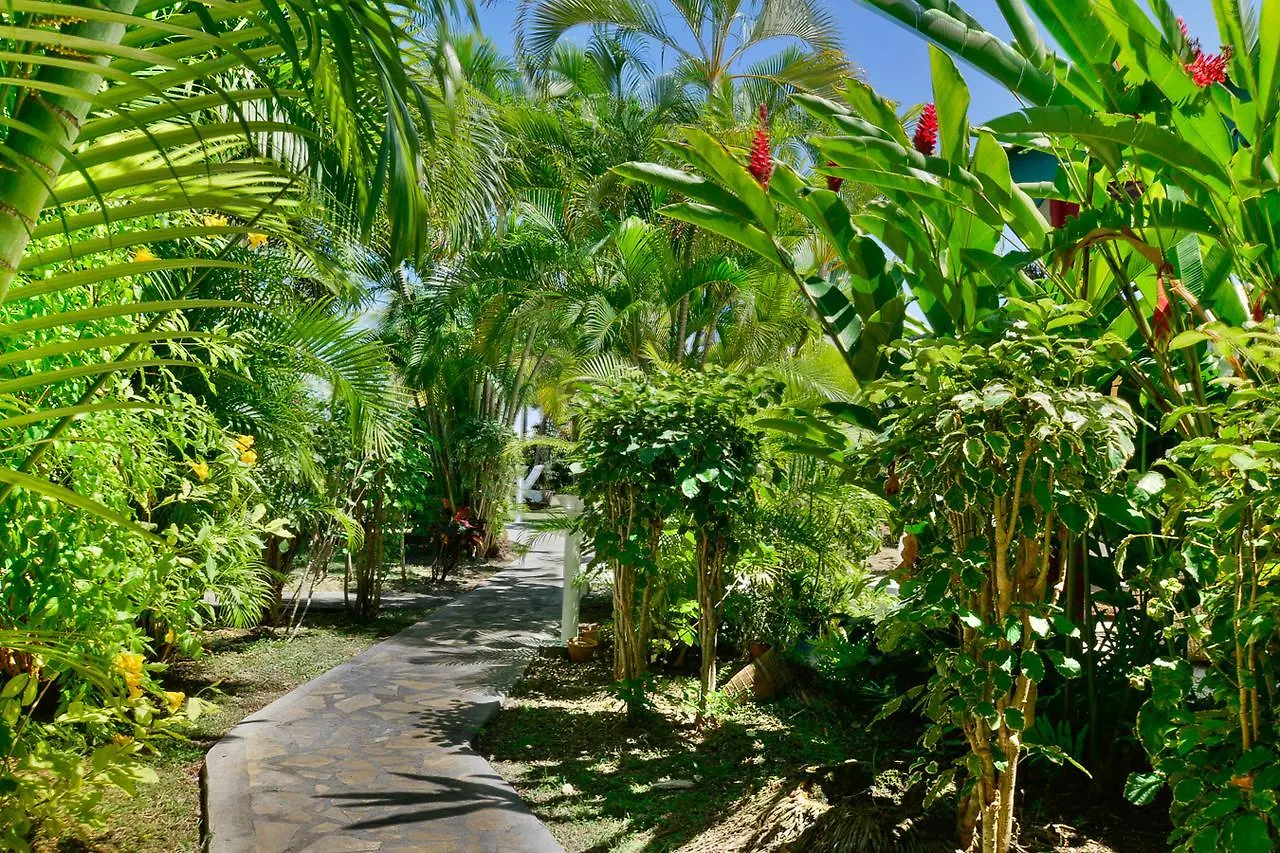 Côté Plage Saint-Francois  Saint-Francois (Grande-Terre)